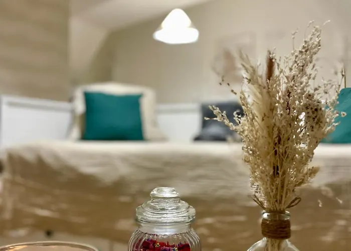 T1 Cosy - Madeleine - Netflix